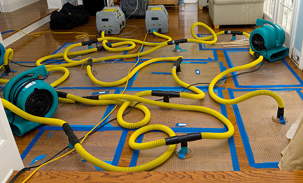 Professional Water Extraction technician working in Mountain View, MO